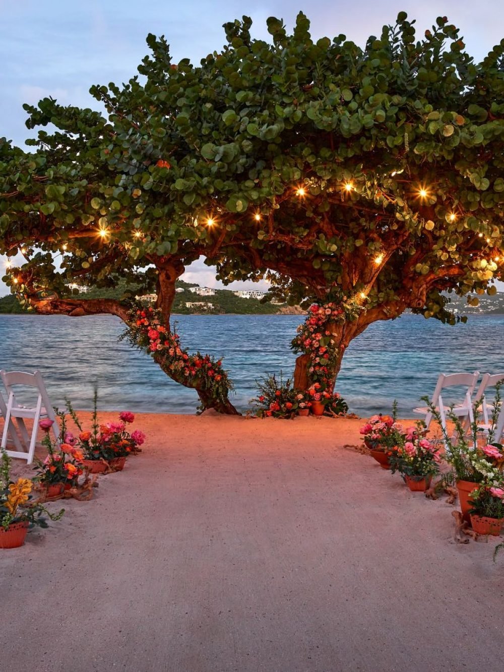 rz-sttrz-seagrape-wedding-23459-51341_Wide-Hor